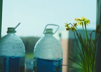 A Complete Information – Chefio