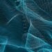 CISO’s information to nonhuman identification safety