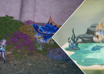 Tips on how to Catch all Itzaland Fish in Infinity Nikki