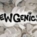 Mewgenics – Guides Hub
