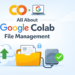 All About Google Colab File Administration