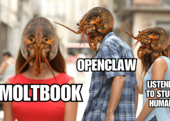 The Absolute Madness of Moltbook