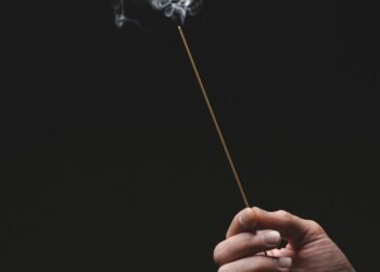 The Lacking Curriculum: Important Ideas For Information Scientists within the Age of AI Coding Brokers