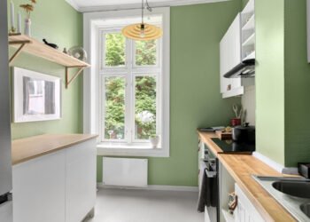 Steps to Embrace Sustainable and Eco-Pleasant Kitchen Merchandise for Conscious Homemakers – Chefio