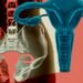 A girl’s uterus has been stored alive outdoors the physique for the primary time