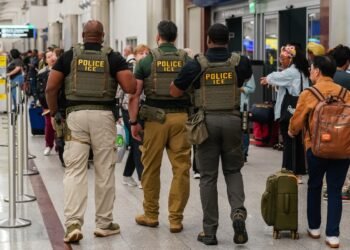 Federal immigration brokers filmed making airport arrests as Trump calls in ICE to ease safety line delays