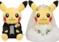 Pokémon Fan Sells Uncommon Playing cards Value $44,000 to Fund Marriage ceremony