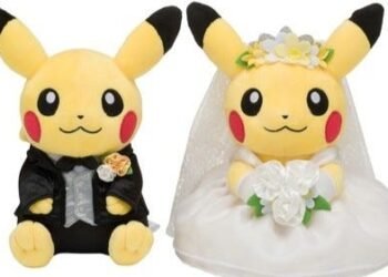 Pokémon Fan Sells Uncommon Playing cards Value $44,000 to Fund Marriage ceremony