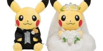 Pokémon Fan Sells Uncommon Playing cards Value $44,000 to Fund Marriage ceremony