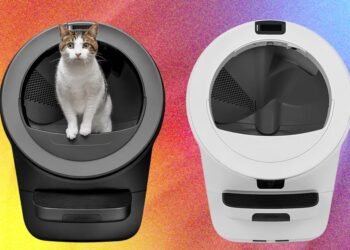 Which Automated Litter Field Is Finest? We Examined Litter-Robotic’s Lineup