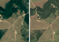 Google’s creating a brand new satellite tv for pc imagery map to assist shield Brazil’s forests