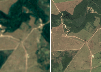 Google’s creating a brand new satellite tv for pc imagery map to assist shield Brazil’s forests