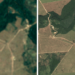 Google’s creating a brand new satellite tv for pc imagery map to assist shield Brazil’s forests