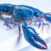 OpenClaw provides customers but one more reason to be freaked out about safety