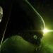 Quick Alien Isolation 2 Trailer Launched as A part of Alien Day 2026