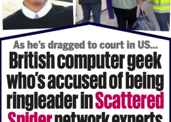 ‘Scattered Spider’ Member ‘Tylerb’ Pleads Responsible – Krebs on Safety