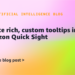 Create wealthy, customized tooltips in Amazon Fast Sight