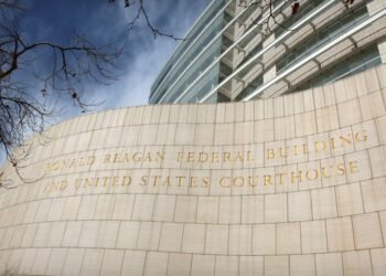 Scattered Spider Hacker Pleads Responsible in US Federal Court docket
