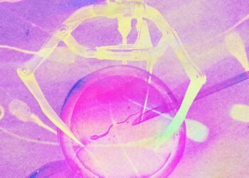 The Obtain: the tech reshaping IVF and the rise of balcony photo voltaic