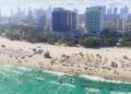 How A lot Did GTA 6 Price To Make? Right here's What Take-Two's CEO Had To Say