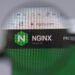 PoC Code Printed for Vital NGINX Vulnerability