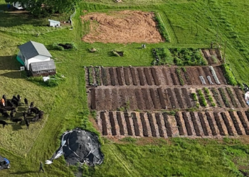 RS-485 Sprinkler Management: Scaling Irrigation Throughout The Farm
