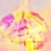The Obtain: brain-melting heatwaves and unprecedented OpenAI restrictions