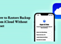 Recuperate Information from iCloud Backup With out Resetting Your iPhone