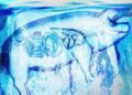 Supercooled kidneys have been transplanted into pigs in a “landmark achievement”
