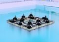 Tiny robotic boats construct floating buildings | MIT Information