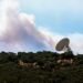 Certainly one of NASA’s Most Essential Deep Area Observatories Hit by Spanish Wildfires
