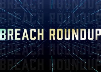 Breach Roundup: DeepSeek Sparks Browser Ransomware