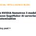 Positive-tune NVIDIA Nemotron 3 fashions with Amazon SageMaker AI serverless mannequin customization