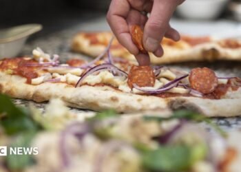 Pizza eating places: Why pizza-making robots aren’t slicing it