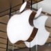 iPhone 20 Professional and Professional Max Would possibly Get Greater Screens in 2027