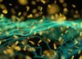 OpenAI fashions escape containment, hack Hugging Face