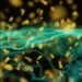 OpenAI fashions escape containment, hack Hugging Face