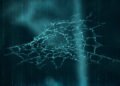 Your data is on the darkish net. What occurs subsequent?