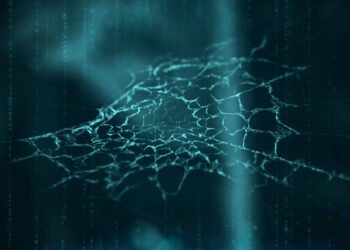 Your data is on the darkish net. What occurs subsequent?