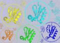 Wanting past pure sequences | MIT Information