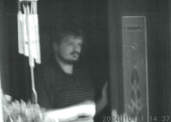 Canadian Man Pleads Responsible in Snowflake Extortions – Krebs on Safety