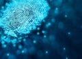 Behavioral biometrics: Easy methods to detect nonhuman risk actors