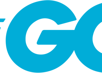 Why Go is an Supreme Language for AI-Assisted Software program Engineering