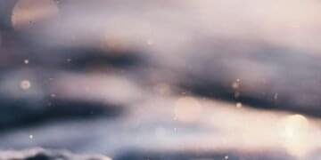 Information to Progressive Kitchen Instruments All Dwelling Cooks Have to Know – Chefio