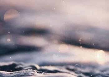 Discover Vibrant Spring 2025 Kitchen Decor Colours and Equipment – Chefio