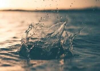 Exploring Inexpensive Kitchen Devices On-line for the Savvy Shopper – Chefio