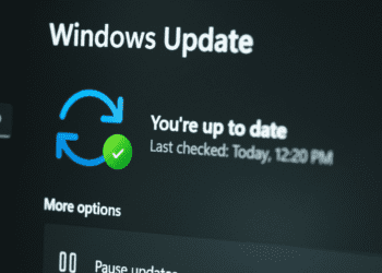 Microsoft Patch Tuesday, July 2025 Version – Krebs on Safety