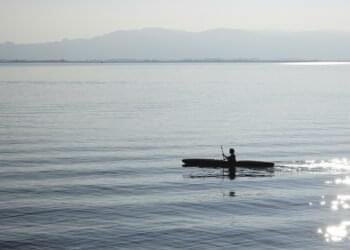 Issues I Want I Had Recognized Earlier than Beginning ML