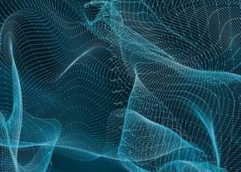 CISO’s information to nonhuman identification safety